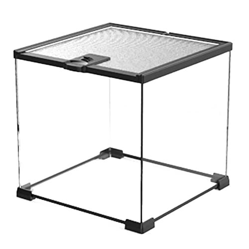 SDVantage Reptilien-Aquarium-Glasbehälter, Amphibien-Futter-Transportbox für Eidechsen, Schildkröten, Schlange (30 x 30 x 29 cm) von SDVantage