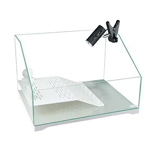 SDVantage Schildkrötenbecken Kunststoff Schildkrötenbecken Schildkrötentank Zuchtbox Wasserschildkrötenbecken mit Trocknungsplattform Extra Groß Schildkröte Zuchtbox Reptilien-Terrarium (M), Medium von SDVantage