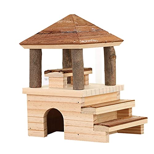 SDVantage Schildkrötenpanzer Schildkröte Spezialtank Terrarium Haus Schildkrötenbecken Groß Ökologischer Tank Kleines Haus Haushalt mit Balkon Reptilien-Terrarium SDVantage Schildkrötenpanzer Schildkröte Spezialtank Terrarium Haus Schildkrötenbecken Groß Ökologischer Tank Kleines Haus Haushalt mit Balkon Reptilien-Terrarium von SDVantage