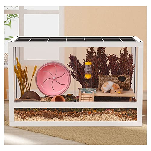 SDVantage Terrarium-Käfig für Reptilien, Glas, Vollsicht, visuell ansprechend, für Hamster, Goldbär, rötliches Huhn, Igel, Eidechse, goldfarben, 80 x 40 x 46 cm SDVantage Terrarium-Käfig für Reptilien, Glas, Vollsicht, visuell ansprechend, für Hamster, Goldbär, rötliches Huhn, Igel, Eidechse, goldfarben, 80 x 40 x 46 cm von SDVantage