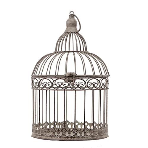 SDVantage Vogelkäfige Vogelkäfige Runder Vogelkäfig Vintage Metall Vogelkäfig Vogelkäfig Rahmen Geeignet für kleine Vögel Hochzeit Party Innentür Dekoration Papagei Sittich Käfig B von SDVantage