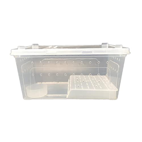 Schildkrötenbecken Zuchtbox Kunststoff Reptilien-Terrarium Tragbares Reptilien-Terrarium Lebensraum für Haustierhäuser Reptilienbecken (M) von SDVantage