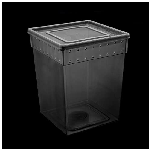 Spider Scorpion Reptile Paradise, Pet House Watch Transparent Breathable Cage Aufzucht Ökologisch Lebender Körper Gecko Eidechse Arboreal Wirbellosen Tank Spider Scorpion Reptile Paradise, Pet House Watch Transparent Breathable Cage Aufzucht Ökologisch Lebender Körper Gecko Eidechse Arboreal Wirbellosen Tank von SDVantage