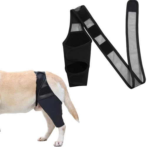 SEABABOO Hunde Erholung Ärmel Wundschutzanzüge Für Hunde Ellbogenschoner Für Hunde Ellenbogenbandage Protector Wundschutzanzüge für Hot Spots Wunden Bandagen Anti Lecken Für Hunde (Schwarz, M) von SEABABOO