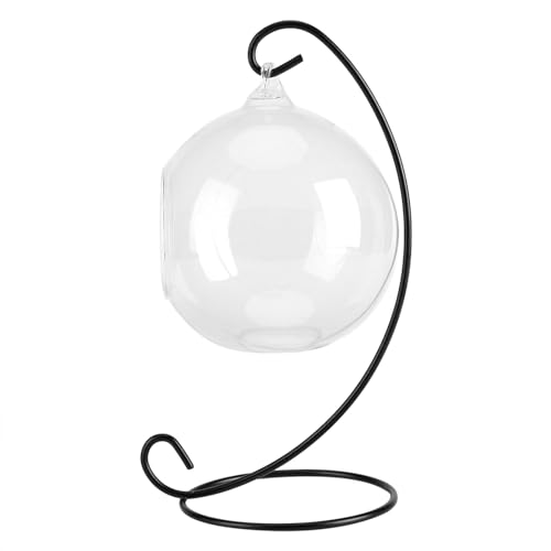 Hängende Glasvase, Kugelförmiges Design, Eisenrahmen, Transparent, 10,2 cm, 182,9 cm, Luftpflanzen, Sukkulenten, Getrocknetes Moos, für Innengarten, Outdoor-Ornamente, Hängende Glasvase, Kugelförmiges Design, Eisenrahmen, Transparent, 10,2 cm, 182,9 cm, Luftpflanzen, Sukkulenten, Getrocknetes Moos, für Innengarten, Outdoor-Ornamente, von SEAFRONT