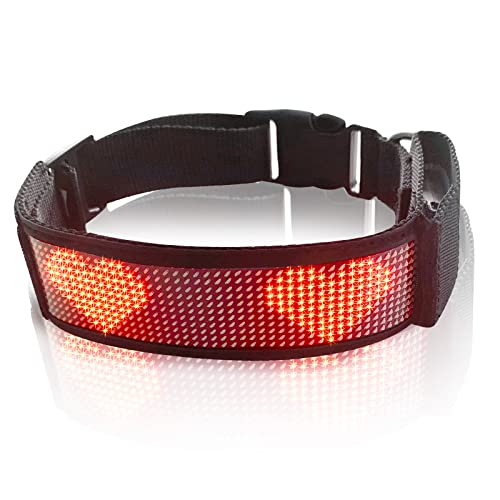SEAFRONT LED Hundehalsband Breit Große, Programmierbar Wiederaufladbar Hunde Leuchthalsband, Einfarbig Leuchtendes Halsband, Sicherheits Blinklicht für meisten Hunde, Mobile BT Übertragung von SEAFRONT