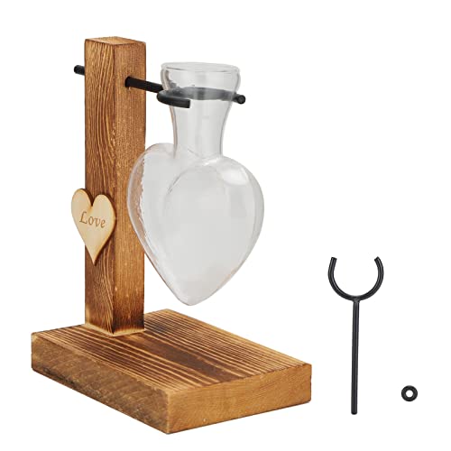 SEAFRONT Pflanzenterrarium Transparentes Pflanzen -Terrarium mit Holzständer, Tischpase -Glass -Pflanzer mit Holzständer Pflanzen -Terrarium mit Holzständer Glassplanter mit Fester Stange von SEAFRONT
