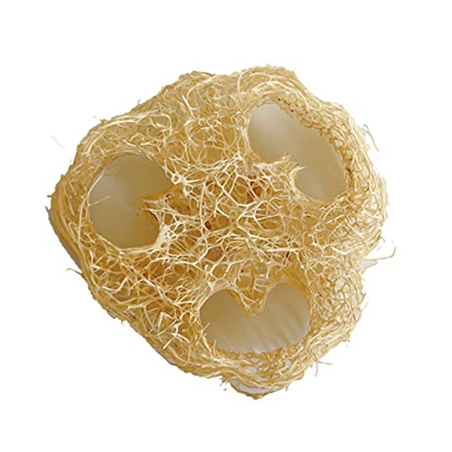 SEAYACK Kauspielzeug für Zähne Luffa Cylindrica Natur- und Verschmutzungskäfig Kleintier Luffa Cylindrica SEAYACK Kauspielzeug für Zähne Luffa Cylindrica Natur- und Verschmutzungskäfig Kleintier Luffa Cylindrica von SEAYACK