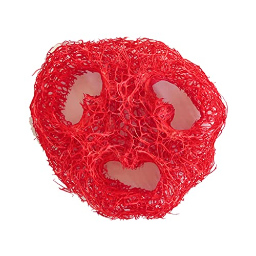 SEAYACK Kauspielzeug für Zähne Luffa Cylindrica Natur- und Verschmutzungskäfig Kleintier Luffa Cylindrica SEAYACK Kauspielzeug für Zähne Luffa Cylindrica Natur- und Verschmutzungskäfig Kleintier Luffa Cylindrica von SEAYACK