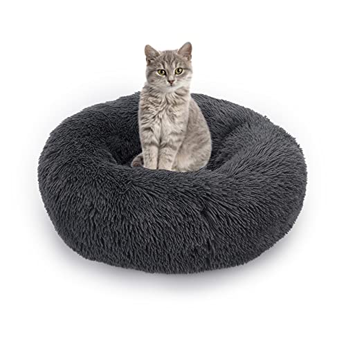Dickes Katzenbett Donut Kitty Bett Rundes Haustierbett Plüsch Kuscheltier Zwinger Welpe Sofa Katzennest Flauschig Mittlere Kleine Hunde für Indoor Katzen Verbesserung des Schlafes Dickes Katzenbett Donut Kitty Bett Rundes Haustierbett Plüsch Kuscheltier Zwinger Welpe Sofa Katzennest Flauschig Mittlere Kleine Hunde für Indoor Katzen Verbesserung des Schlafes von SEDOXX