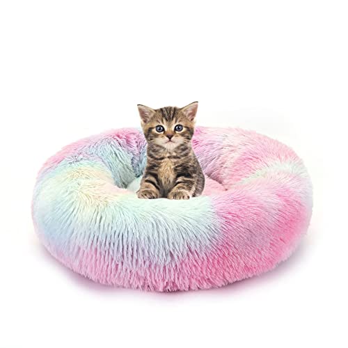 Donut Haustierbett Plüsch-Katzenbett für Indoor-Katzen für kleine, mittelgroße Haustiere, weiches, beruhigendes Schlafbett, flauschiges Hundebett waschbar selbstwärmend Kätzchen von SEDOXX
