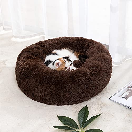 Donut-Katzenbett für drinnen und draußen, Plüsch-Hundebett für kleine, mittelgroße Haustiere, selbstwärmendes, rundes Welpensofa, Kunstfell, rutschfeste Unterseite, verbessert das Schlafbett Donut-Katzenbett für drinnen und draußen, Plüsch-Hundebett für kleine, mittelgroße Haustiere, selbstwärmendes, rundes Welpensofa, Kunstfell, rutschfeste Unterseite, verbessert das Schlafbett von SEDOXX
