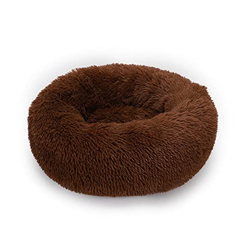Hundebett Donut-Katzenbett für drinnen und draußen, weiches, flauschiges Haustierbett, beruhigendes Hundebett für Welpen, Schlafbett, Gelenkentlastung, Katzenkissen, Bett für kleine Hunde Hundebett Donut-Katzenbett für drinnen und draußen, weiches, flauschiges Haustierbett, beruhigendes Hundebett für Welpen, Schlafbett, Gelenkentlastung, Katzenkissen, Bett für kleine Hunde von SEDOXX
