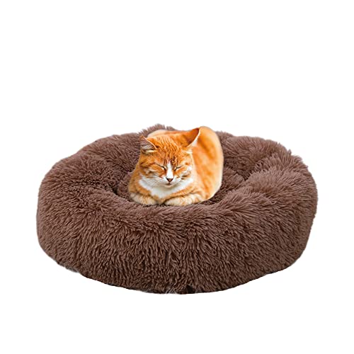 Katzenbett, flauschig, Kissenmatte, Plüsch, für kleine Hunde, Donut, Kuschelhütte, warmes Welpensofa für drinnen und draußen, Katzen, Schlafen, verbessertes, beruhigendes Haustierbett Katzenbett, flauschig, Kissenmatte, Plüsch, für kleine Hunde, Donut, Kuschelhütte, warmes Welpensofa für drinnen und draußen, Katzen, Schlafen, verbessertes, beruhigendes Haustierbett von SEDOXX