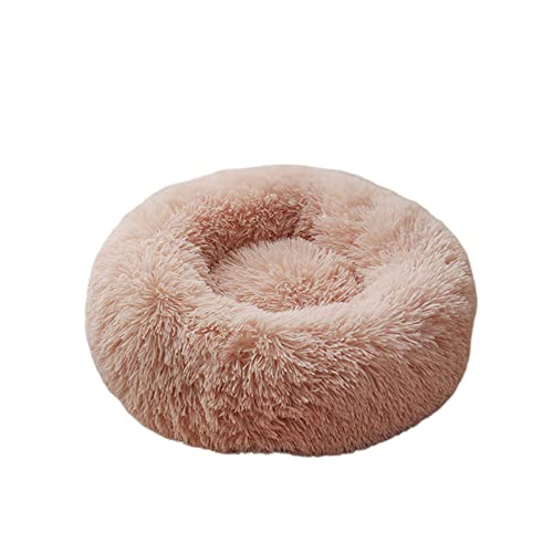 Kleines, mittelgroßes Katzenbett Donut Kitty Bett Katzenbetten für drinnen Katzen Runde Haustierbetten Flauschige Welpenbetten Katzenschlafbett Warm Gemütlich Waschbar Weicher Plüsch Kleines, mittelgroßes Katzenbett Donut Kitty Bett Katzenbetten für drinnen Katzen Runde Haustierbetten Flauschige Welpenbetten Katzenschlafbett Warm Gemütlich Waschbar Weicher Plüsch von SEDOXX