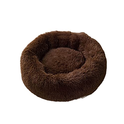 Kleines, mittelgroßes Katzenbett Donut Kitty Bett Katzenbetten für drinnen Katzen Runde Haustierbetten Flauschige Welpenbetten Katzenschlafbett Warm Gemütlich Waschbar Weicher Plüsch Kleines, mittelgroßes Katzenbett Donut Kitty Bett Katzenbetten für drinnen Katzen Runde Haustierbetten Flauschige Welpenbetten Katzenschlafbett Warm Gemütlich Waschbar Weicher Plüsch von SEDOXX