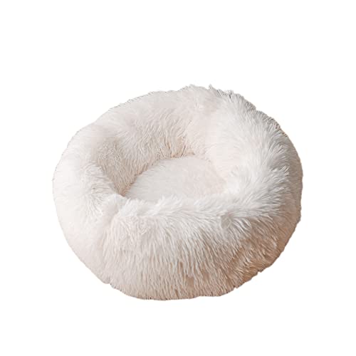 Kleines, mittelgroßes Katzenbett Donut Kitty Bett Katzenbetten für drinnen Katzen Runde Haustierbetten Flauschige Welpenbetten Katzenschlafbett Warm Gemütlich Waschbar Weicher Plüsch Kleines, mittelgroßes Katzenbett Donut Kitty Bett Katzenbetten für drinnen Katzen Runde Haustierbetten Flauschige Welpenbetten Katzenschlafbett Warm Gemütlich Waschbar Weicher Plüsch von SEDOXX