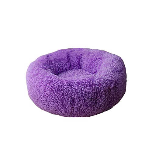 Kleines, mittelgroßes Katzenbett Donut Kitty Bett Katzenbetten für drinnen Katzen Runde Haustierbetten Flauschige Welpenbetten Katzenschlafbett Warm Gemütlich Waschbar Weicher Plüsch Kleines, mittelgroßes Katzenbett Donut Kitty Bett Katzenbetten für drinnen Katzen Runde Haustierbetten Flauschige Welpenbetten Katzenschlafbett Warm Gemütlich Waschbar Weicher Plüsch von SEDOXX