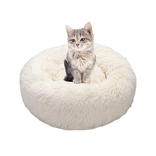 SEDOXX Haustier-Sofa, Katzenbett für drinnen und draußen, Katzen, Plüsch, Haustierbett, rutschfest, Donut-Kätzchenbett, Welpenbett, Hundebett, warm, weich, flauschig, 50 cm, elfenbeinfarben SEDOXX Haustier-Sofa, Katzenbett für drinnen und draußen, Katzen, Plüsch, Haustierbett, rutschfest, Donut-Kätzchenbett, Welpenbett, Hundebett, warm, weich, flauschig, 50 cm, elfenbeinfarben von SEDOXX