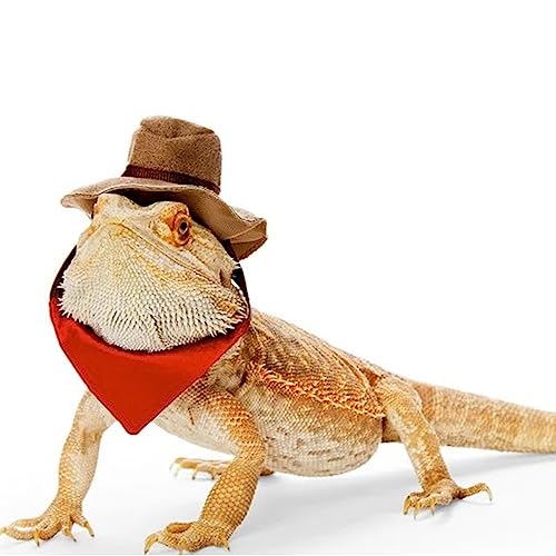 SEIS Cowboyhut und Bandana, Bärtiger Drache, für Halloween, Eidechse, Reptilien, coole Haustierkappe, Kleintier-Hamster, Kostüm, Cosplay-Skulptur, 2 Stück von SEIS