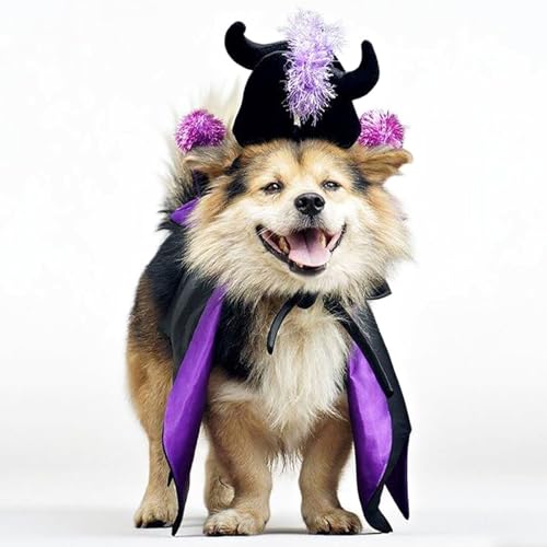 SEIS Halloween-Hundeumhang und Hut, violettes Katzen-Fledermaus-Kostüm, Kappen-Set, Cosplay, Vampir, Haustierbekleidung für Katzen, kleine Hunde (Einheitsgröße, Fledermaus), 2 Stück von SEIS
