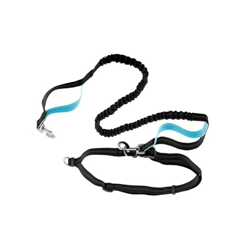 Blau, Reflektierende Hundeleine, strapazierfähige, reflektierende Leine für Nachtspaziergänge, sichere und stilvolle Hundeleine für große und mittelgroße Haustiere von SEIWEI