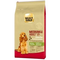 SELECT GOLD Sensitive Adult Medium Ente und Kartoffel 2x12 kg von SELECT GOLD
