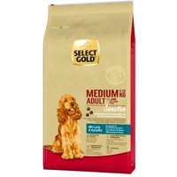 SELECT GOLD Sensitive Adult Medium Lachs und Kartoffel 12 kg SELECT GOLD Sensitive Adult Medium Lachs und Kartoffel 12 kg von SELECT GOLD