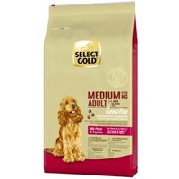 SELECT GOLD Sensitive Adult Medium Pferd und Tapioka 2x12 kg von SELECT GOLD