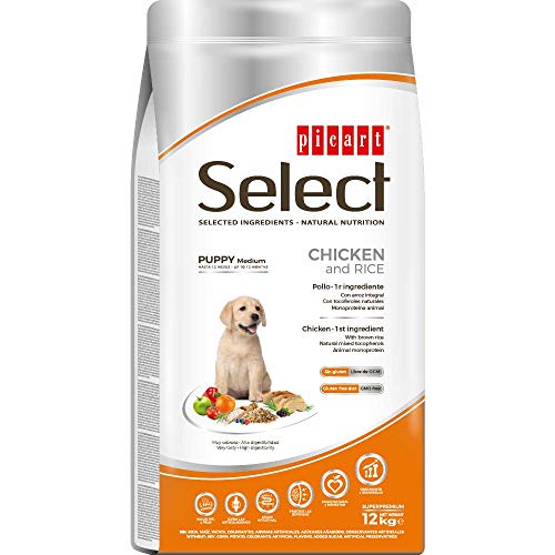 SELECT Picard Welpe Medium Huhn & Reis 12 kg SELECT Picard Welpe Medium Huhn & Reis 12 kg von SELECT