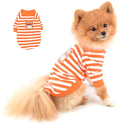 SELMAI Hundeshirt Kleine Hunde Sommer Baumwolle Gestreifte T Shirt für Hunde Katzen Süßer Welpe Junge Kurze Ärmel Bequeme Poloshirt Tank Tops für Haustiere Chihuahua Kleider Tägliches Tragen OrangeXXL SELMAI Hundeshirt Kleine Hunde Sommer Baumwolle Gestreifte T Shirt für Hunde Katzen Süßer Welpe Junge Kurze Ärmel Bequeme Poloshirt Tank Tops für Haustiere Chihuahua Kleider Tägliches Tragen OrangeXXL von SELMAI