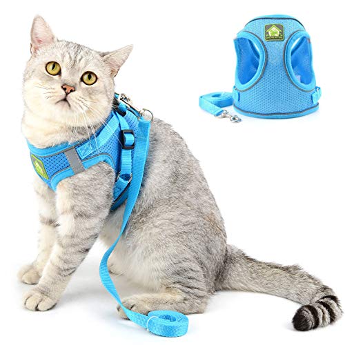 SELMAI Katzengeschirr mit Leine Ausbruchsicher Kitten Reflektierend Hundegeschirr für Welpen Kleine Hunde Chihuahua Geschirr Weiches Netz Brustgurt für Haustiere Gehen Ausbildung Draussen Blau S SELMAI Katzengeschirr mit Leine Ausbruchsicher Kitten Reflektierend Hundegeschirr für Welpen Kleine Hunde Chihuahua Geschirr Weiches Netz Brustgurt für Haustiere Gehen Ausbildung Draussen Blau S von SELMAI