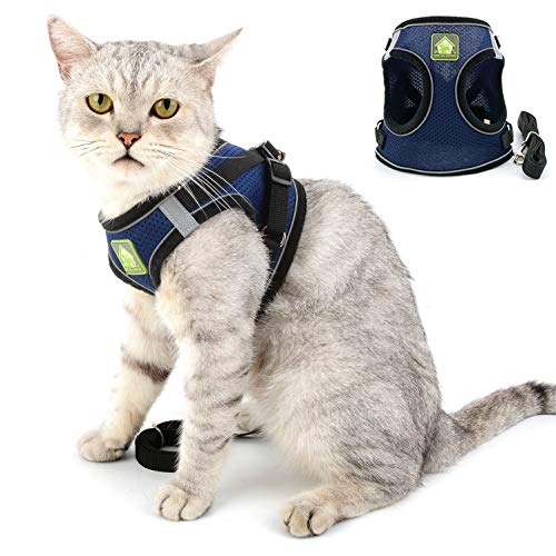 SELMAI Katzengeschirr mit Leine Ausbruchsicher Kitten Reflektierend Hundegeschirr für Welpen Kleine Hunde Chihuahua Geschirr Weiches Netz Brustgurt für Haustiere Gehen Ausbildung Draussen Blau XL SELMAI Katzengeschirr mit Leine Ausbruchsicher Kitten Reflektierend Hundegeschirr für Welpen Kleine Hunde Chihuahua Geschirr Weiches Netz Brustgurt für Haustiere Gehen Ausbildung Draussen Blau XL von SELMAI
