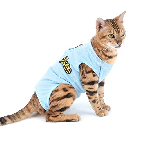 SELMAI Medical Pet Shirt Katze Body für Hunde Nach op Hund Kastration Weiche Baumwolle E-Kragen Alternative für Haustiere Krankenpflege Kleidung Wundschutz Verhindern Lecken Hautkrankheiten Blau S SELMAI Medical Pet Shirt Katze Body für Hunde Nach op Hund Kastration Weiche Baumwolle E-Kragen Alternative für Haustiere Krankenpflege Kleidung Wundschutz Verhindern Lecken Hautkrankheiten Blau S von SELMAI
