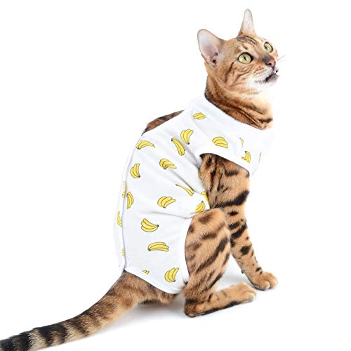 SELMAI Medical Pet Shirt Katze Body für Hunde Nach op Hund Kastration Weiche Baumwolle E-Kragen Alternative für Haustiere Krankenpflege Kleidung Wundschutz Verhindern Lecken Hautkrankheiten Gelb M SELMAI Medical Pet Shirt Katze Body für Hunde Nach op Hund Kastration Weiche Baumwolle E-Kragen Alternative für Haustiere Krankenpflege Kleidung Wundschutz Verhindern Lecken Hautkrankheiten Gelb M von SELMAI