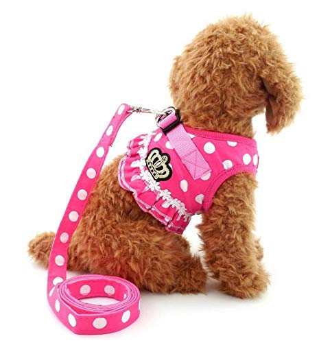 SELMAI Pegasus Puppy klein Katze Mädchen Hund Vest Dots Harness Leine-Set Mesh Gepolsterte kein Ziehen Blei Pink L von SELMAI