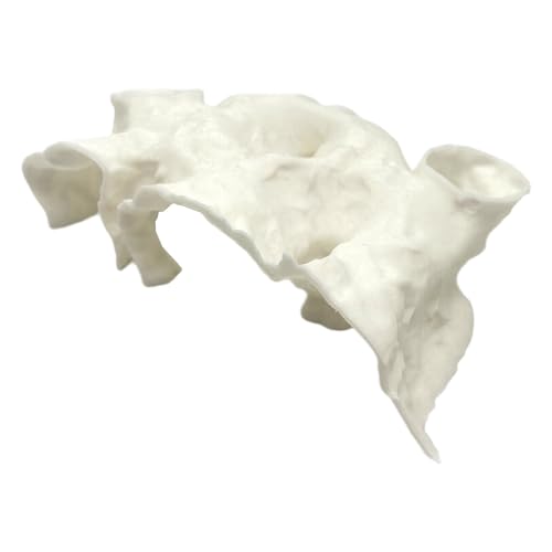 Natural Textured Aquariums Cave Decoration with Multiple Entries for Fish Shrimp and Tanks Environment Enrichment Betta Fish Hiding House Natural Textured Aquariums Cave Decoration with Multiple Entries for Fish Shrimp and Tanks Environment Enrichment Betta Fish Hiding House von SELVFZ