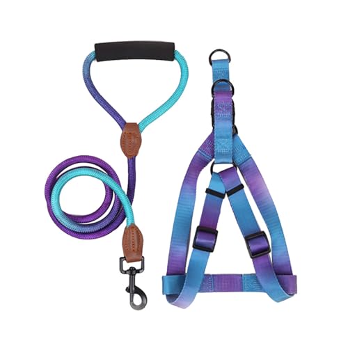 Hundegeschirr mit Leine, wasserdichtes Haustier-Brustgeschirr, Outdoor-Walk-Trainingsgeschirr für Hunde, Haustierhalsband von SELiLe