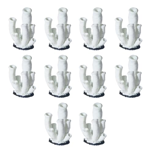SELiLe 10LOTS Realistic Polyresin Coralle Zulamente Simulation Korallen Aquarien Ornamente Für Haus Und Bürofischtanks Hausfischtanks Dekoration SELiLe 10LOTS Realistic Polyresin Coralle Zulamente Simulation Korallen Aquarien Ornamente Für Haus Und Bürofischtanks Hausfischtanks Dekoration von SELiLe