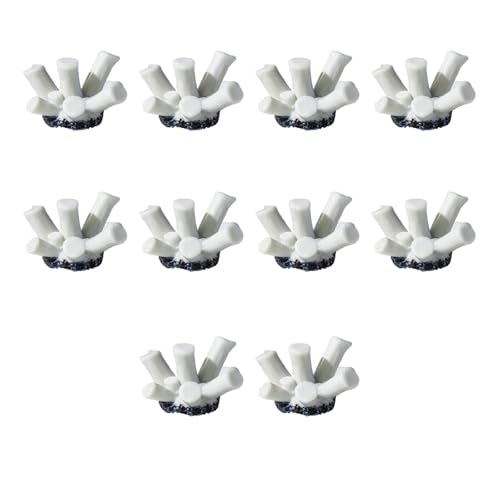 SELiLe 10LOTS Realistic Polyresin Coralle Zulamente Simulation Korallen Aquarien Ornamente Für Haus Und Bürofischtanks Hausfischtanks Dekoration SELiLe 10LOTS Realistic Polyresin Coralle Zulamente Simulation Korallen Aquarien Ornamente Für Haus Und Bürofischtanks Hausfischtanks Dekoration von SELiLe