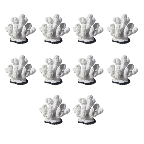 SELiLe 10LOTS Realistic Polyresin Coralle Zulamente Simulation Korallen Aquarien Ornamente Für Haus Und Bürofischtanks Hausfischtanks Dekoration SELiLe 10LOTS Realistic Polyresin Coralle Zulamente Simulation Korallen Aquarien Ornamente Für Haus Und Bürofischtanks Hausfischtanks Dekoration von SELiLe