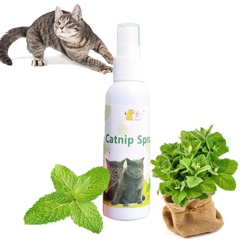 Katzenminze Spray als Spielspray für Katzen,Catnip Spray,Herbal Cat Joy,Katzenminze-Spray für Katzen,Kräuter-Katzenfreude-Spray,Katzentrainingsspray mit Katzenminze,Katzenkratzspray,50 ml Katzenminze Spray als Spielspray für Katzen,Catnip Spray,Herbal Cat Joy,Katzenminze-Spray für Katzen,Kräuter-Katzenfreude-Spray,Katzentrainingsspray mit Katzenminze,Katzenkratzspray,50 ml von SEMINISMAR