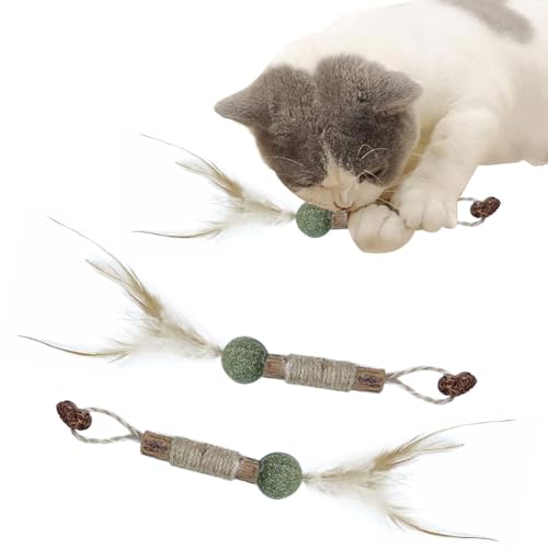 Katzenminze Sticks,Katze Kauspielzeug,Katzensticks Zur Zahnreinigung,Kausticks für Katzen,Katzenminze Sticks Bio,Katzen Zahnpflege Spielzeug,Kausticks Set,Katzen Sticks,2 PCS von SEMINISMAR