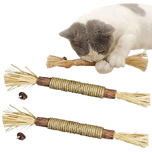 Matatatabi,Katzenminze Sticks,Katze Kauspielzeug,Katzensticks Zur Zahnreinigung,Kausticks für Katzen,Katzenminze Sticks Bio,Katzen Zahnpflege Spielzeug,Kausticks Set,Katzen Sticks,2 PCS von SEMINISMAR