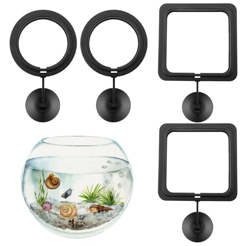 Runder Fischfutterring,Quadratischer Fischfutterring,4 Stück Aquarium Futter Krei,Flottant Fischfutterring,Fisch Fütterung Ring,Automatischer Futterring,Aquarium schwimmende Ringe,Aquarium Futterring Runder Fischfutterring,Quadratischer Fischfutterring,4 Stück Aquarium Futter Krei,Flottant Fischfutterring,Fisch Fütterung Ring,Automatischer Futterring,Aquarium schwimmende Ringe,Aquarium Futterring von SEMINISMAR