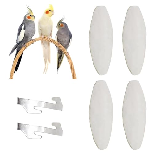 SEMINISMAR Vogel Sepiaschalen, 4 Stück Sepia Schalen, 11-12cm Sepia Knochen, Papageien-Kauspielzeug, für Vögel und andere Kleintiere von SEMINISMAR