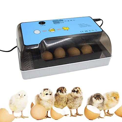 12 Eier Brutapparat Vollautomatischer Inkubator Brutmaschine Hatcher Automatischer Eierinkubator Intelligent LED-Anzeige für Hühnern, Enten, Gans, Tauben, Wachteleiern von SENDERPICK