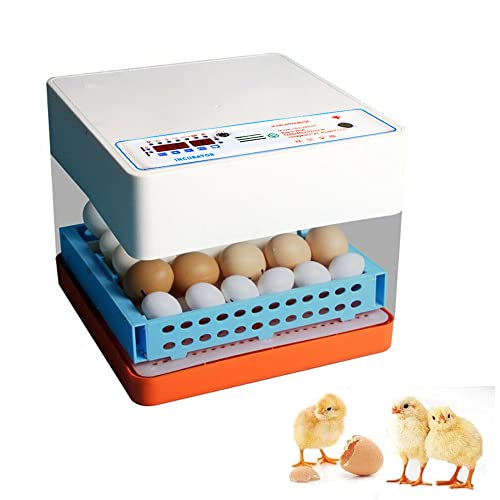 24 Eier Inkubator Vollautomatische, Brutmaschine Hühner Eier Brutgerät, Brutapparat mit Effizienter LED Beleuchtung Hatcher Maschine, für Hühnergans Ente Taube Wachtel Vogel von SENDERPICK