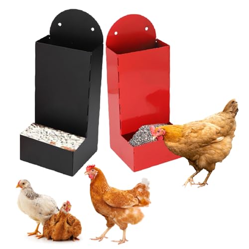Hühnerkörnchen -Feeder, 2pcs Austernschalen -Feeder für Hühner, Hängen und Gemahlene Metall -Automatikgeflügel -Feeder, Hühnchen -Coop -Zubehör Hühnerkörnchen -Feeder, 2pcs Austernschalen -Feeder für Hühner, Hängen und Gemahlene Metall -Automatikgeflügel -Feeder, Hühnchen -Coop -Zubehör von SENECESLI