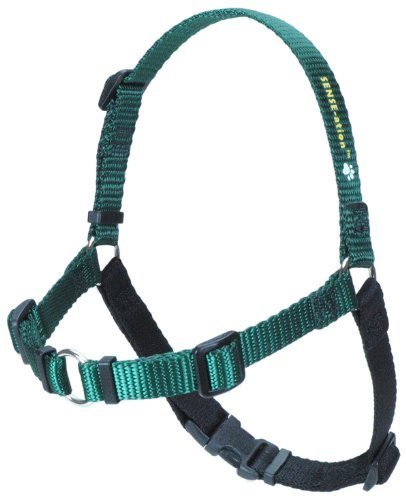 sense-ation verhindert Zerren Hundegeschirr (grün, klein) von SENSE-ation Dog Harness